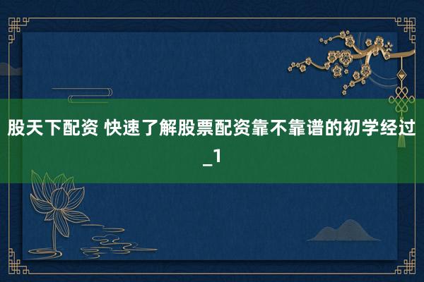 股天下配资 快速了解股票配资靠不靠谱的初学经过_1