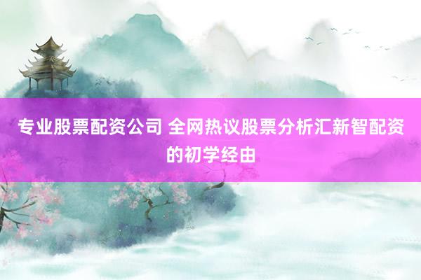 专业股票配资公司 全网热议股票分析汇新智配资的初学经由