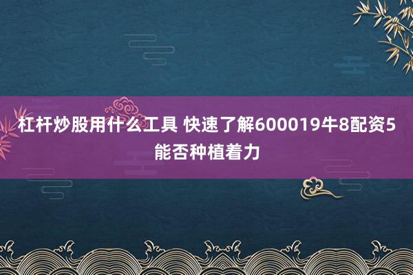杠杆炒股用什么工具 快速了解600019牛8配资5能否种植着力
